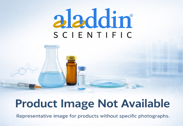 Recombinant CA242 Antibody